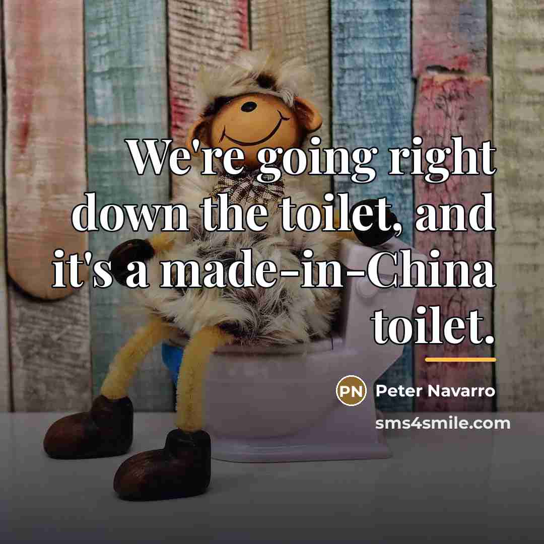 “We're going right down the toilet, and it's a made-in-China…” quote by Peter Navarro