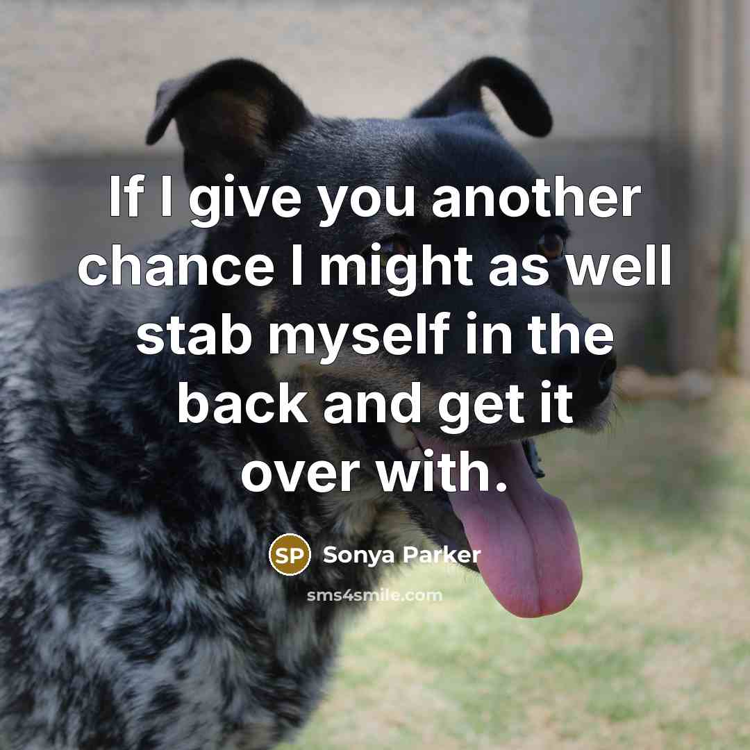 “If I give you another chance I might as well…” quote by SONYA PARKER