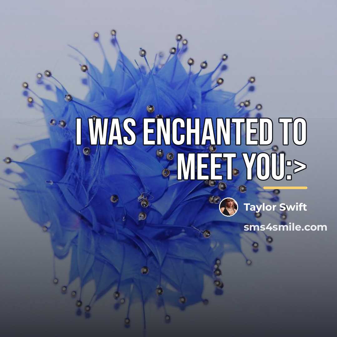 “I was enchanted to meet you:>…” quote by Taylor Swift