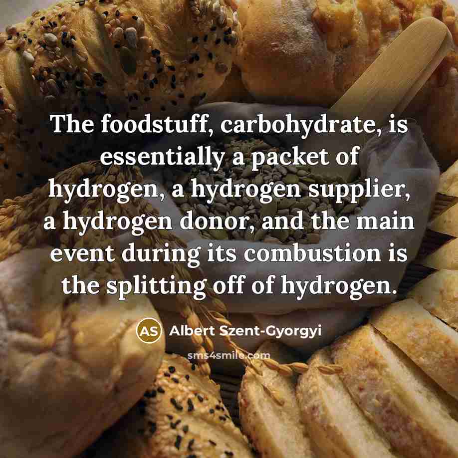 “The foodstuff, carbohydrate, is essentially a packet of hydrogen, a…” quote by Albert Szent-Gyorgyi