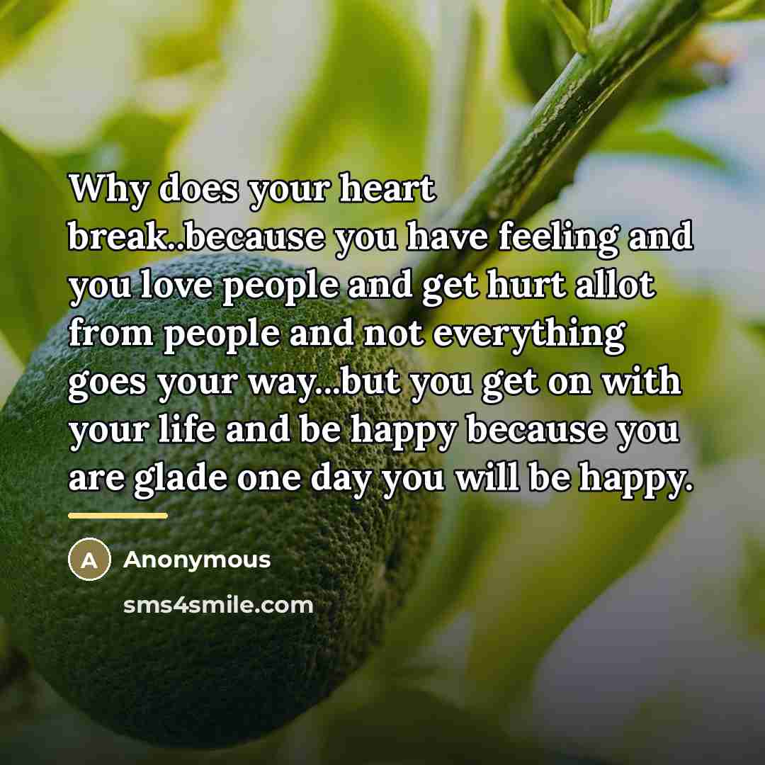 “Why does your heart break..because you have feeling and you…” quote by Anonymous