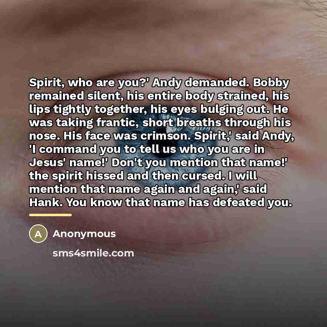 “Spirit, who are you?' Andy demanded. Bobby remained silent, his…” quote by Anonymous