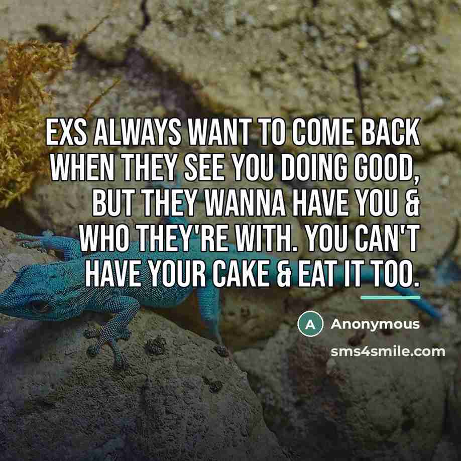“Exs always want to come back when they see you…” quote by Anonymous