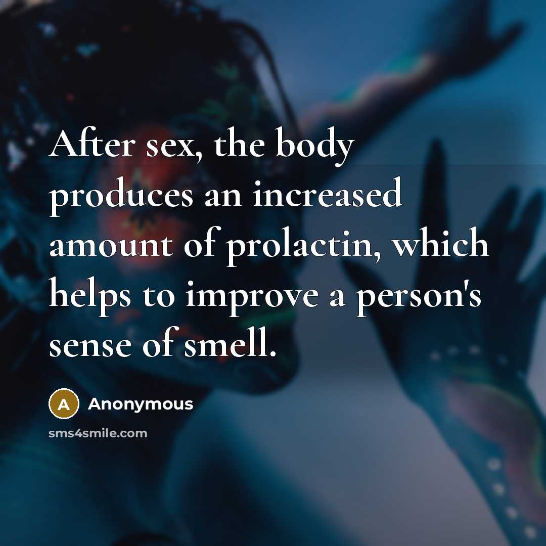 “After sex, the body produces an increased amount of prolactin, which helps to improve a person's sense of smell.” quote by Anonymous