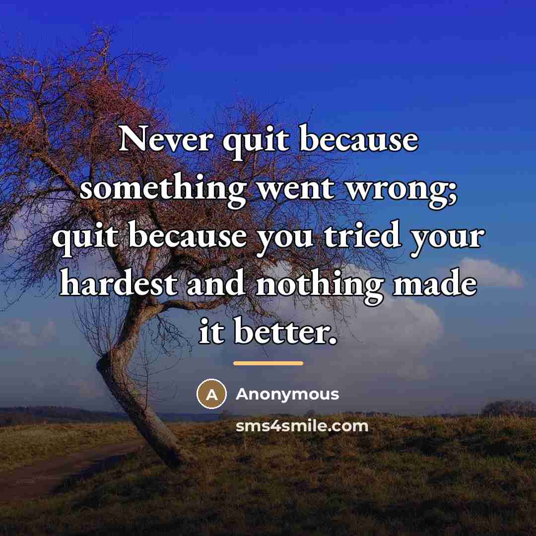 “Never quit because something went wrong; quit because you tried…” quote by Anonymous
