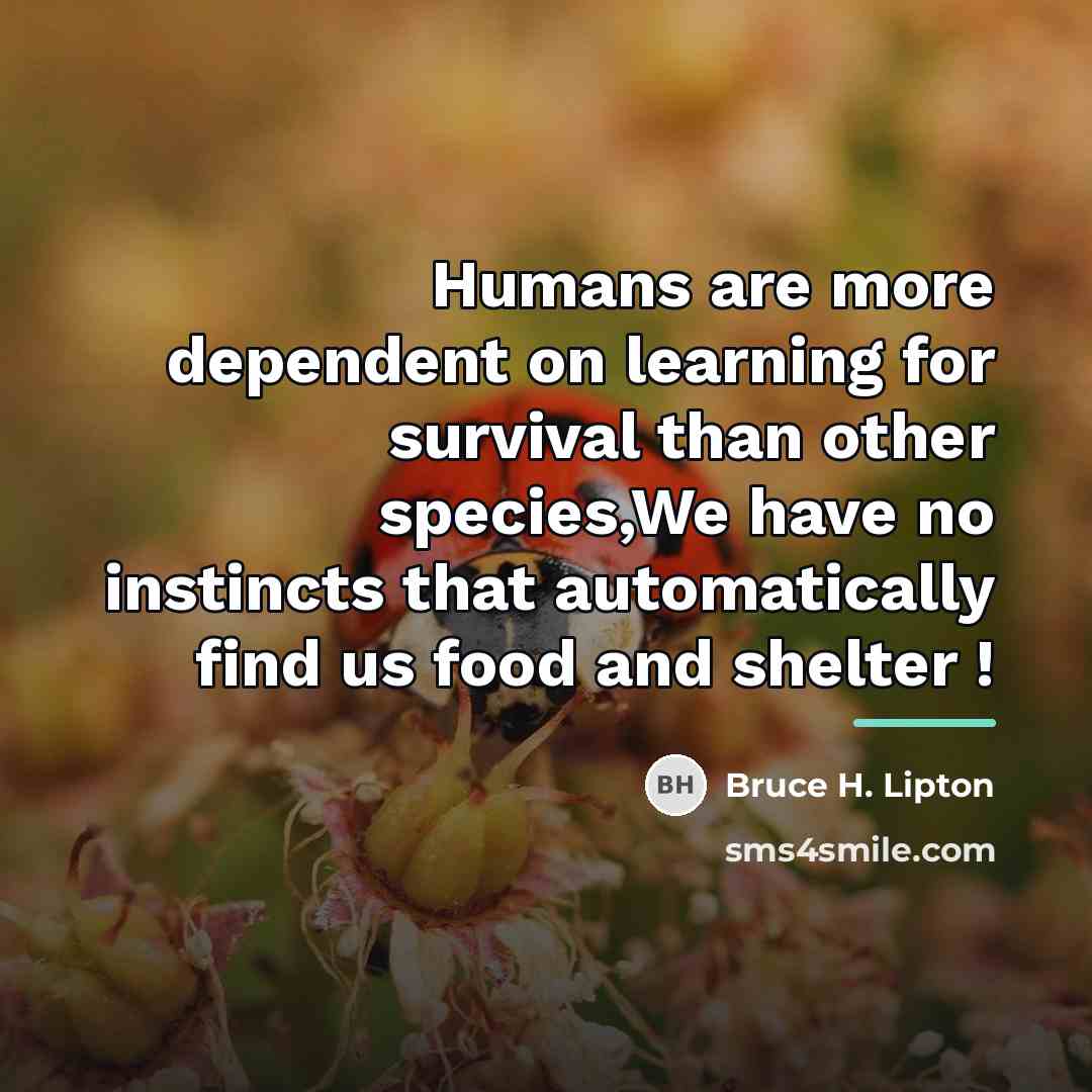 “Humans are more dependent on learning for survival than other…” quote by Bruce H. Lipton