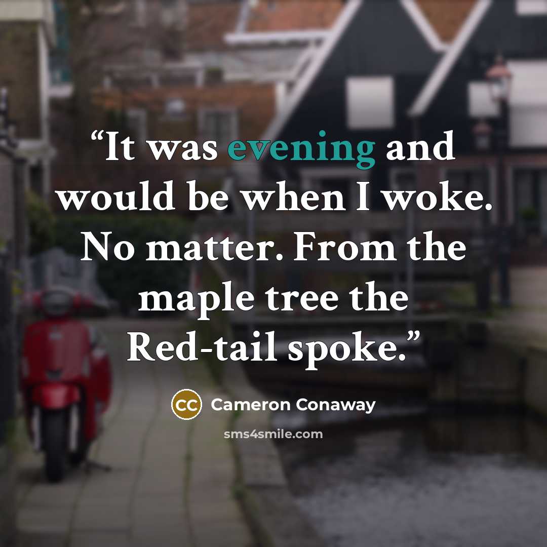 “It was evening and would be when I woke. No matter. From the maple tree the Red-tail spoke.” quote by Cameron Conaway