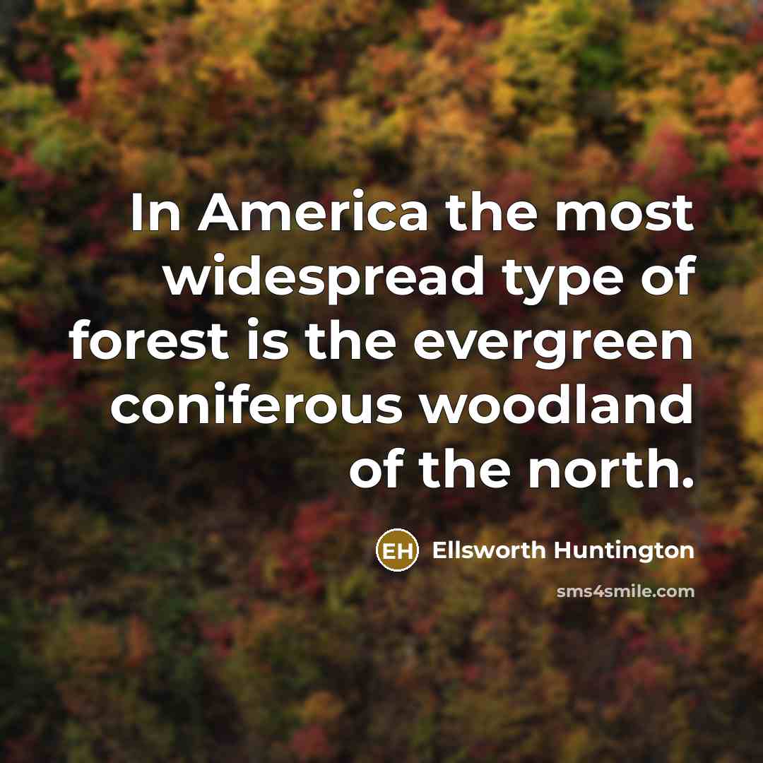 “In America the most widespread type of forest is the…” quote by Ellsworth Huntington