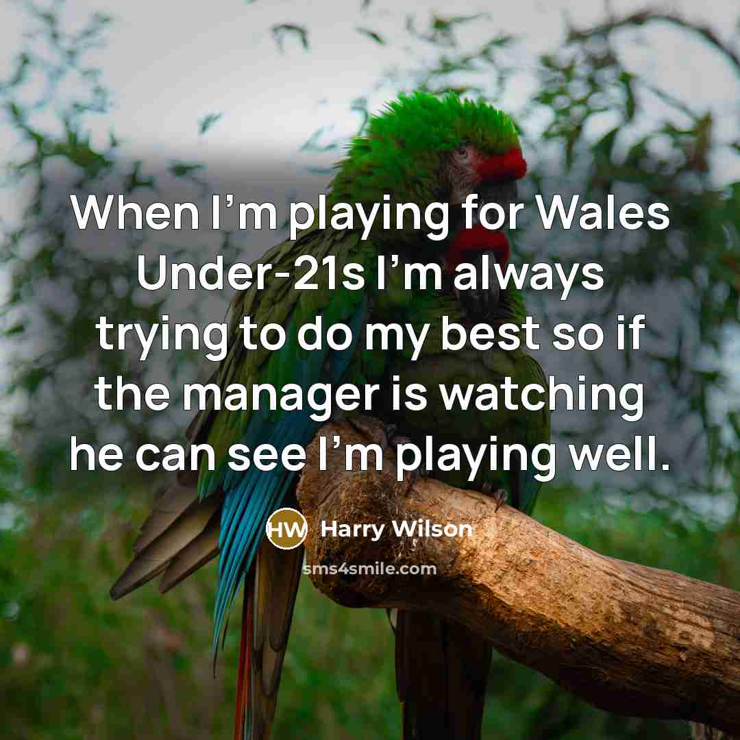 “When I'm playing for Wales Under-21s I'm always trying to…” quote by Harry Wilson