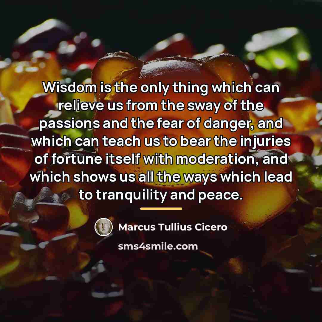 “Wisdom is the only thing which can relieve us from…” quote by Marcus Tullius Cicero
