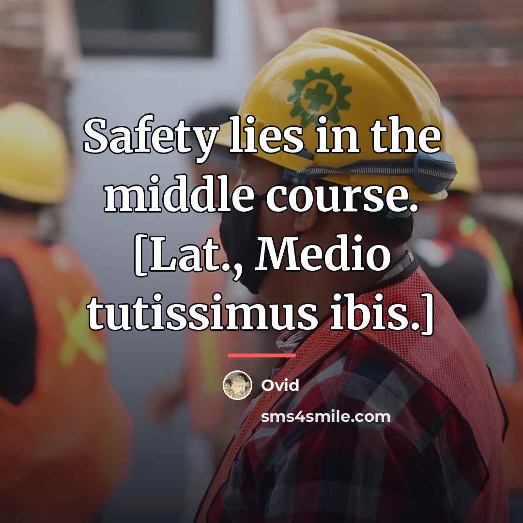“Safety lies in the middle course. [Lat., Medio tutissimus ibis.]…” quote by Ovid