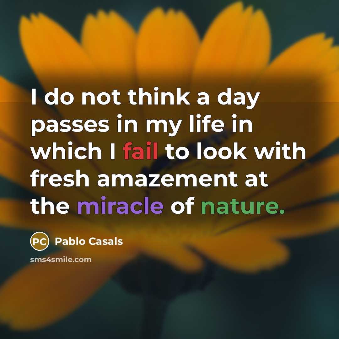 “I do not think a day passes in my life…” quote by Pablo Casals