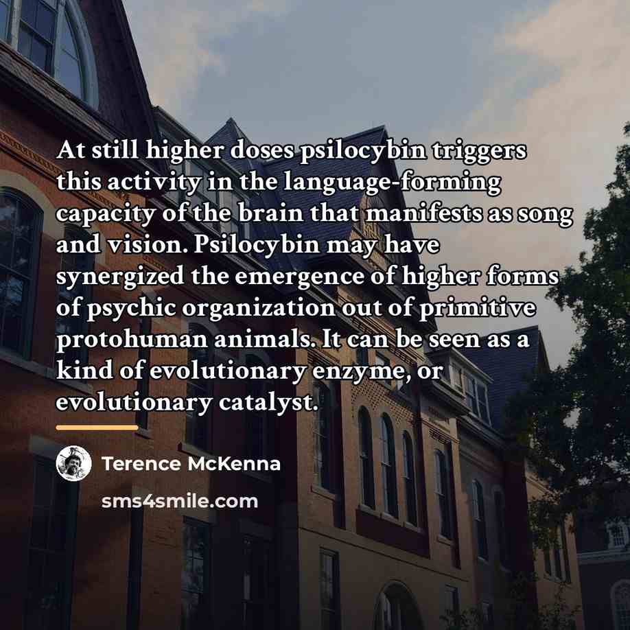“At still higher doses psilocybin triggers this activity in the…” quote by Terence McKenna