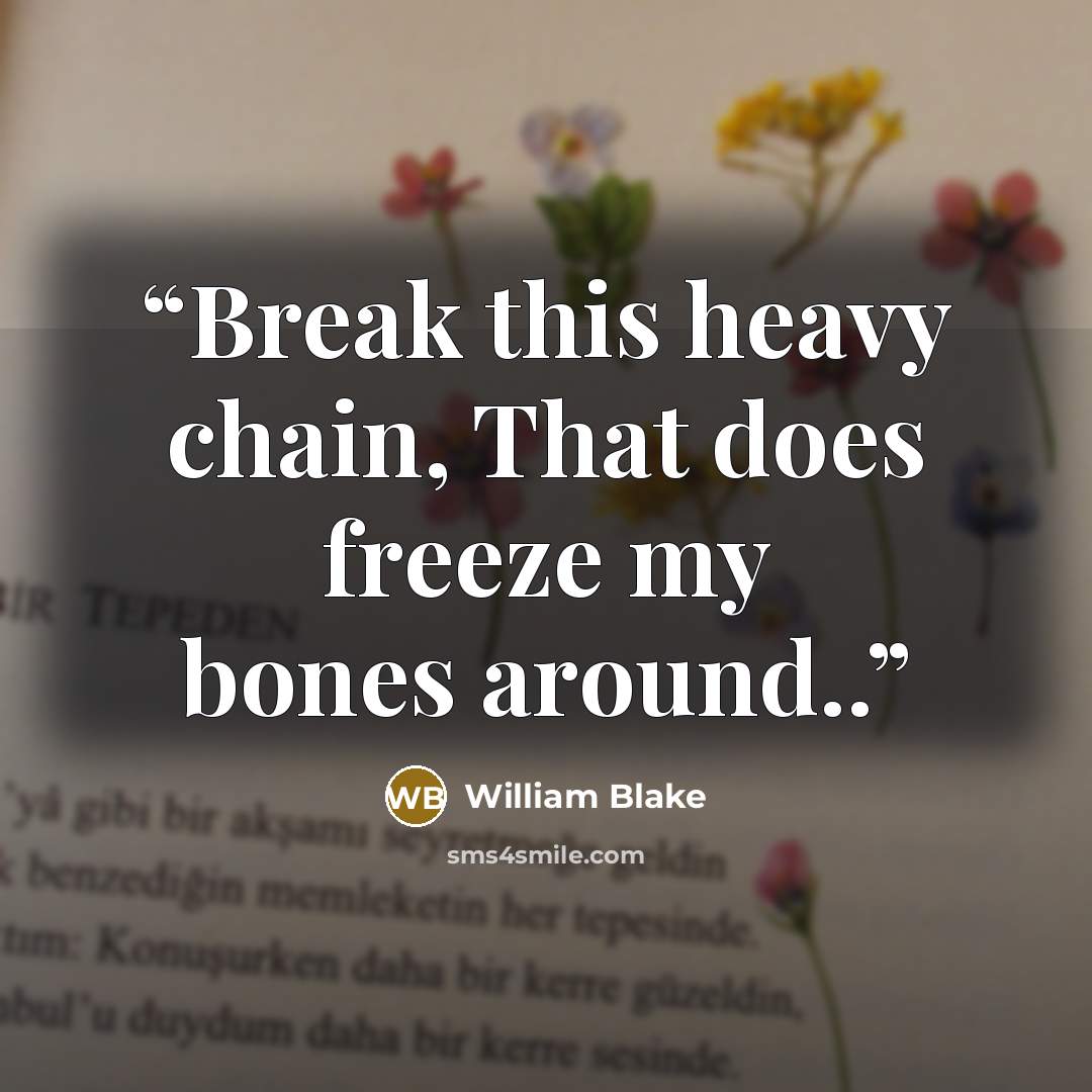 “Break this heavy chain, That does freeze my bones around..” quote by William Blake