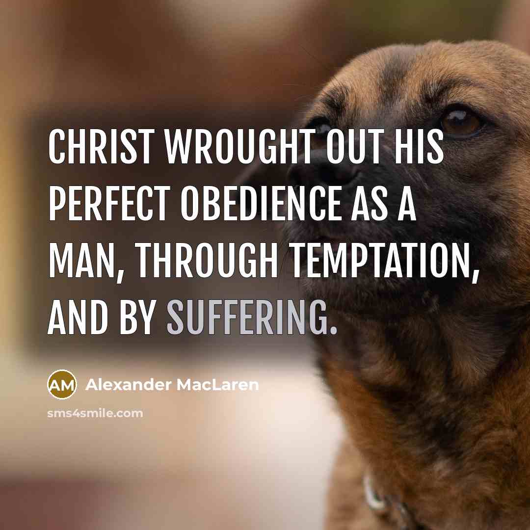 “Christ wrought out His perfect obedience as a man, through…” quote by Alexander MacLaren