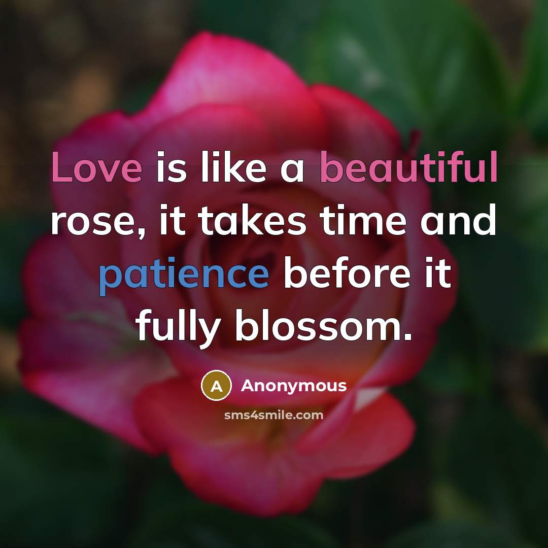 “Love is like a beautiful rose, it takes time and patience before it fully blossom.” quote by Anonymous