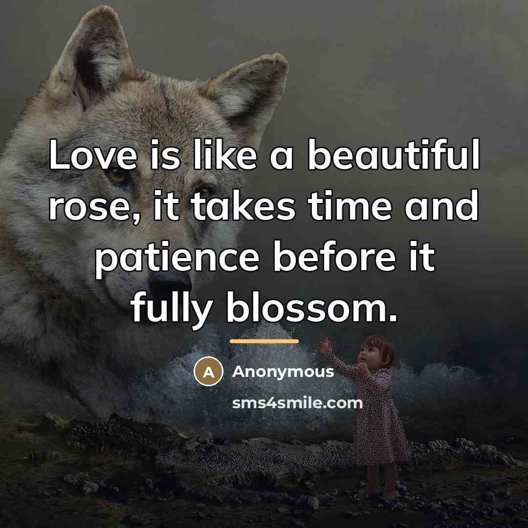“Love is like a beautiful rose, it takes time and…” quote by Anonymous