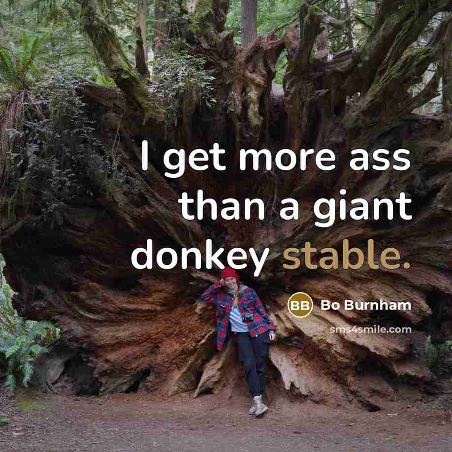 “I get more ass than a giant donkey stable.…” quote by Bo Burnham