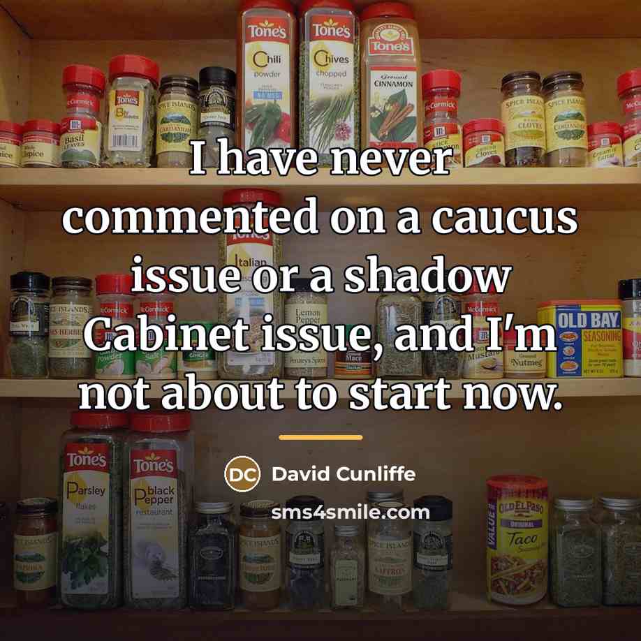 “I have never commented on a caucus issue or a…” quote by David Cunliffe