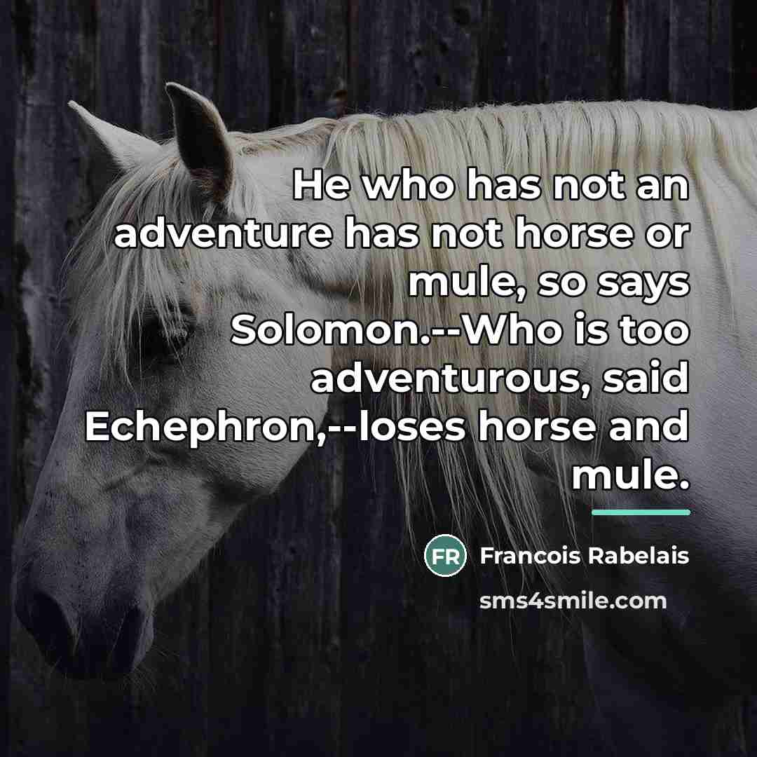 “He who has not an adventure has not horse or…” quote by Francois Rabelais