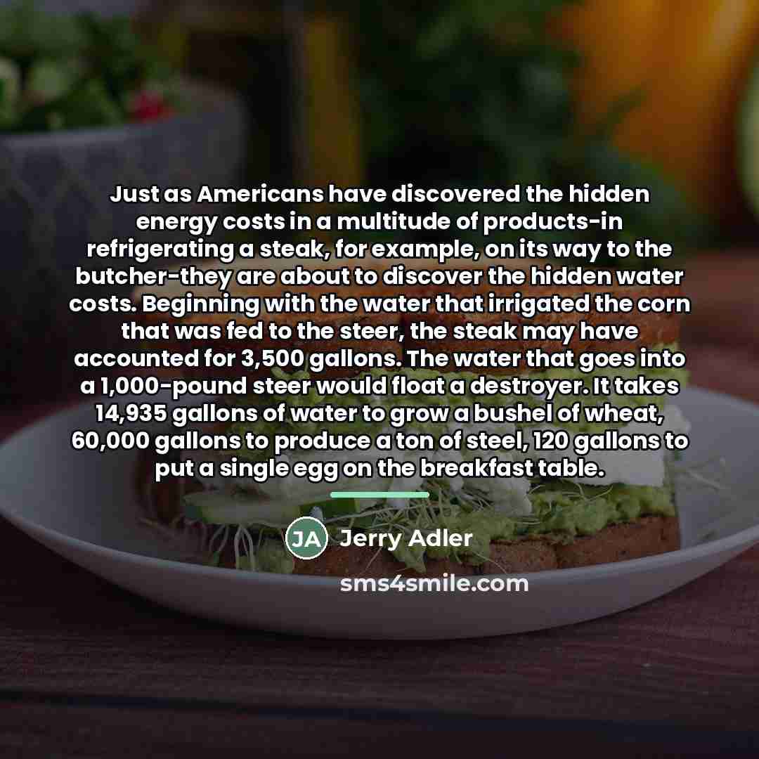 “Just as Americans have discovered the hidden energy costs in…” quote by Jerry Adler