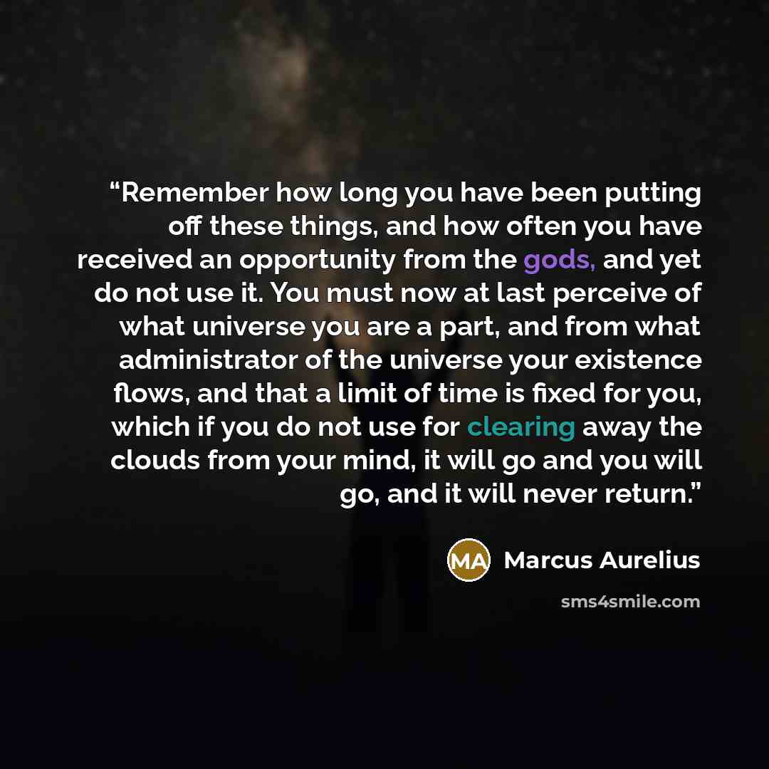 “Remember how long you have been putting off these things, and how often you have received an opportunity from the gods, and yet do not use it. You must now at last perceive of what universe you are a part, and from what administrator of the universe your existence flows, and that a limit of time…” quote by Marcus Aurelius