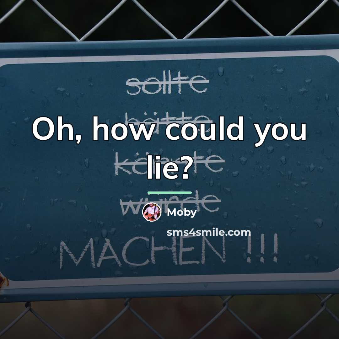 “Oh, how could you lie?…” quote by Moby