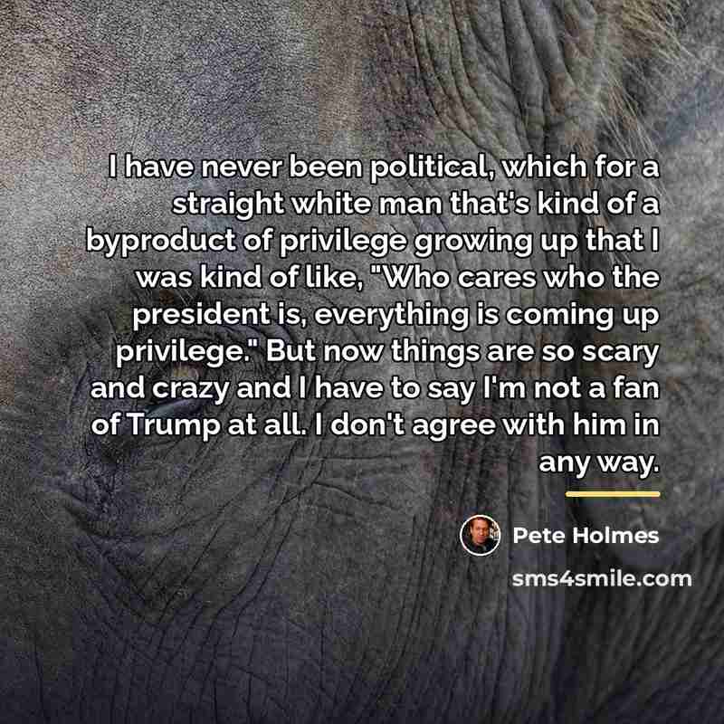 “I have never been political, which for a straight white…” quote by Pete Holmes