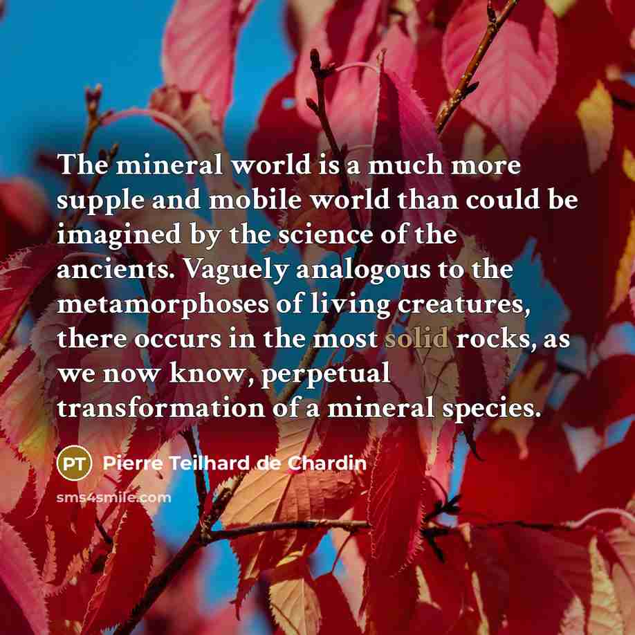 “The mineral world is a much more supple and mobile…” quote by Pierre Teilhard de Chardin