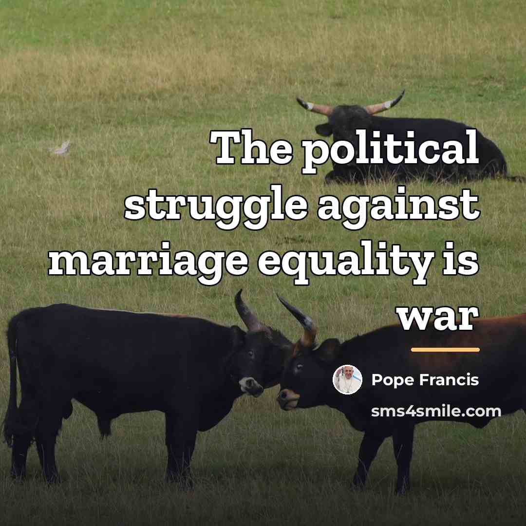“The political struggle against marriage equality is war…” quote by Pope Francis