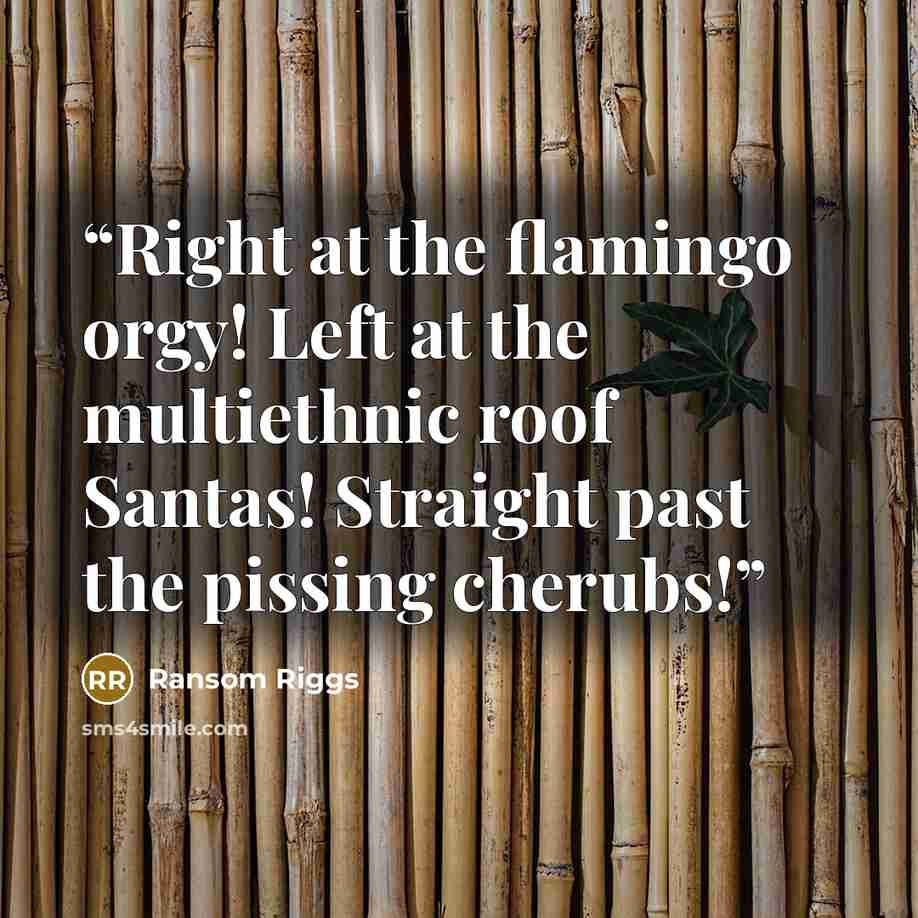 “Right at the flamingo orgy! Left at the multiethnic roof Santas! Straight past the pissing cherubs!” quote by Ransom Riggs