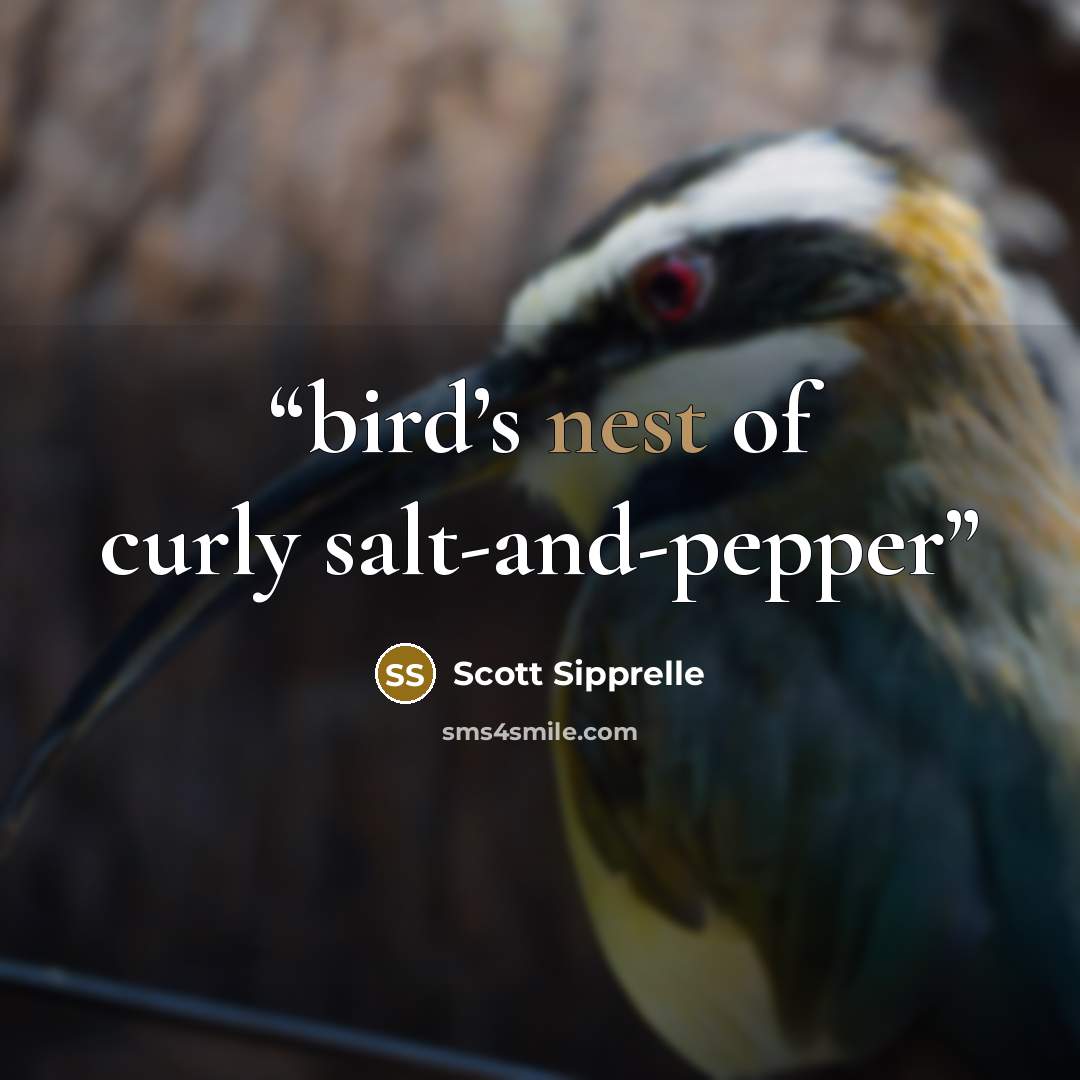 “bird’s nest of curly salt-and-pepper” quote by Scott Sipprelle