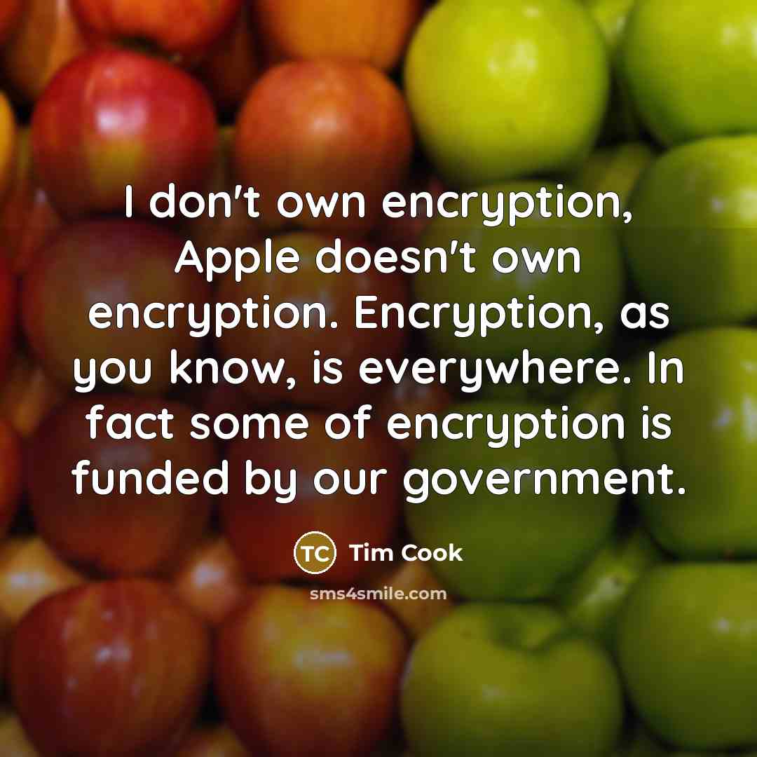“I don't own encryption, Apple doesn't own encryption. Encryption, as…” quote by Tim Cook