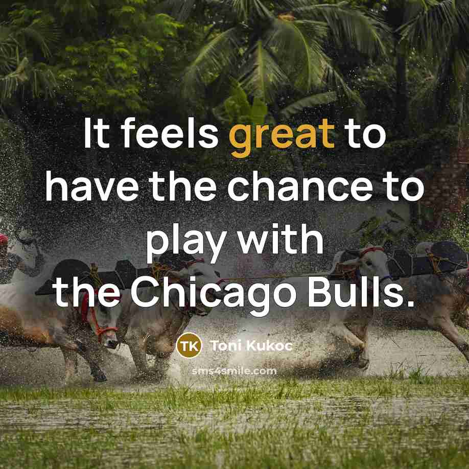 “It feels great to have the chance to play with…” quote by Toni Kukoc