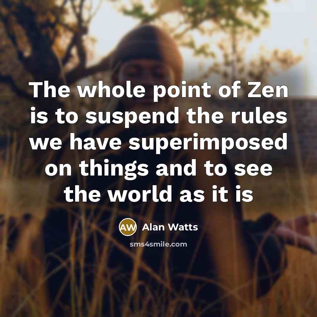 “The whole point of Zen is to suspend the rules we have superimposed on things and to see the world as it is” quote by Alan Watts