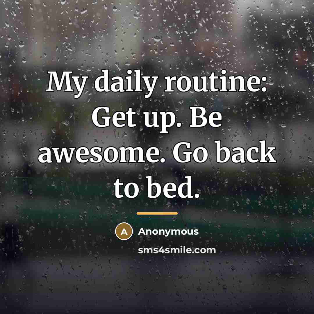 “My daily routine: Get up. Be awesome. Go back to…” quote by Anonymous