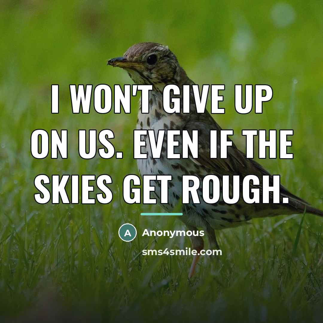 “I won't give up on us. Even if the skies…” quote by Anonymous