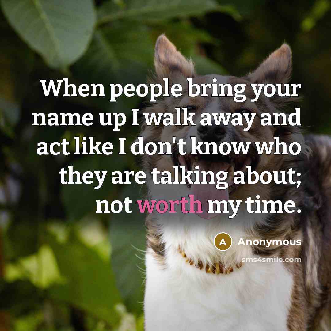 “When people bring your name up I walk away and act like I don't know who they are talking about; not worth my time.” quote by Anonymous