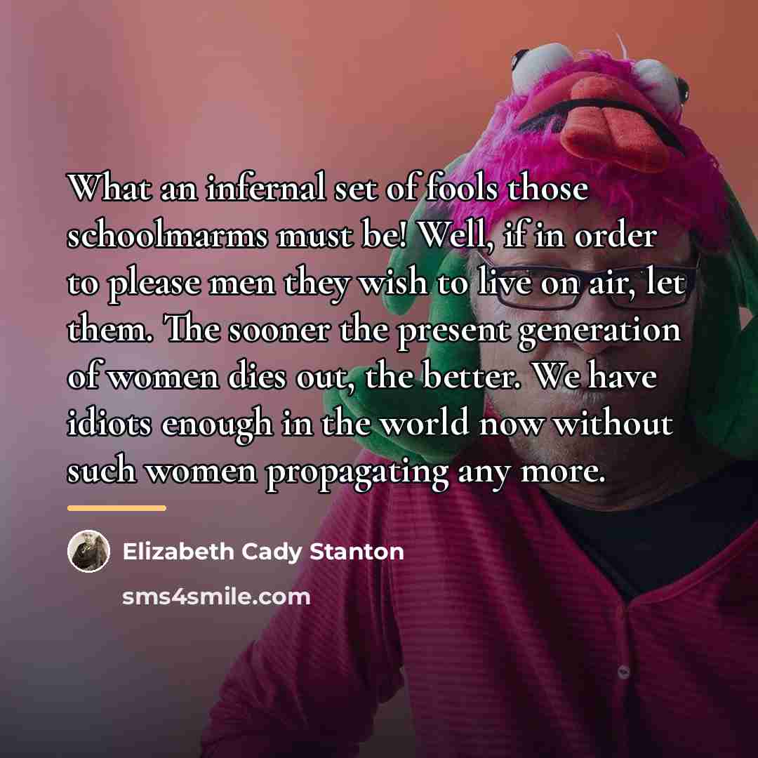 “What an infernal set of fools those schoolmarms must be!…” quote by Elizabeth Cady Stanton