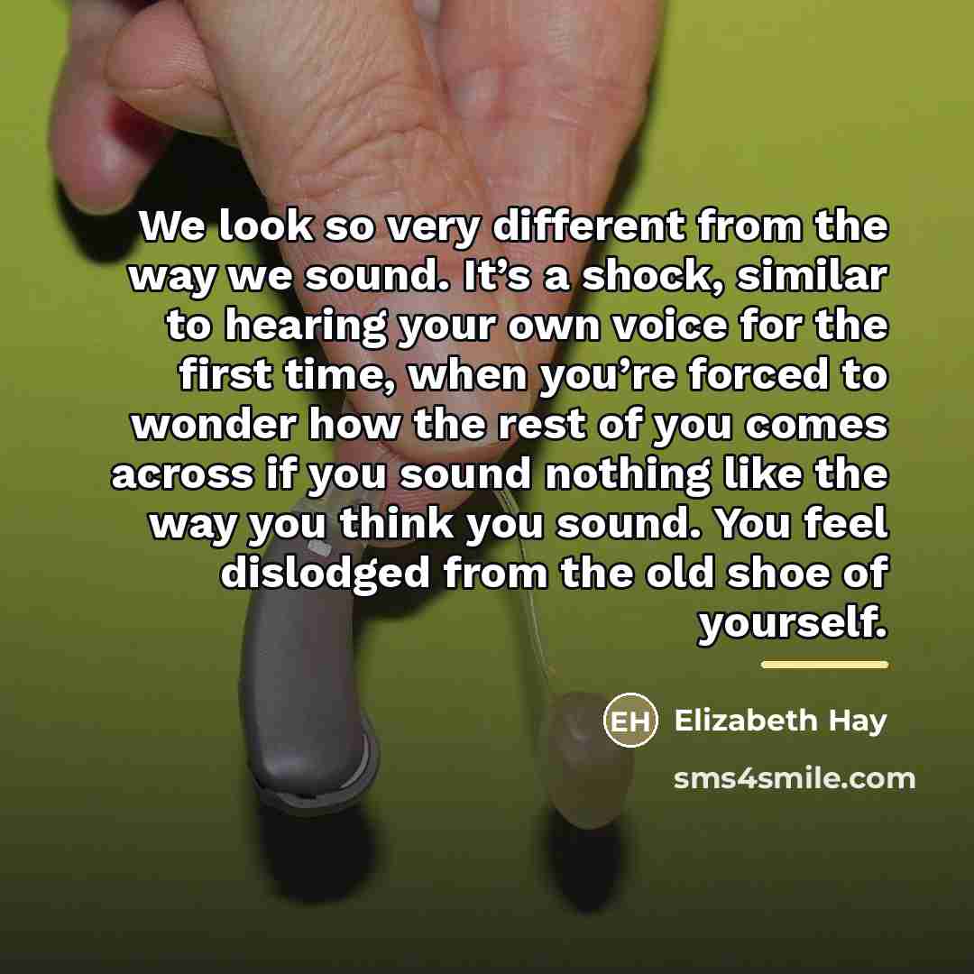 “We look so very different from the way we sound.…” quote by Elizabeth Hay