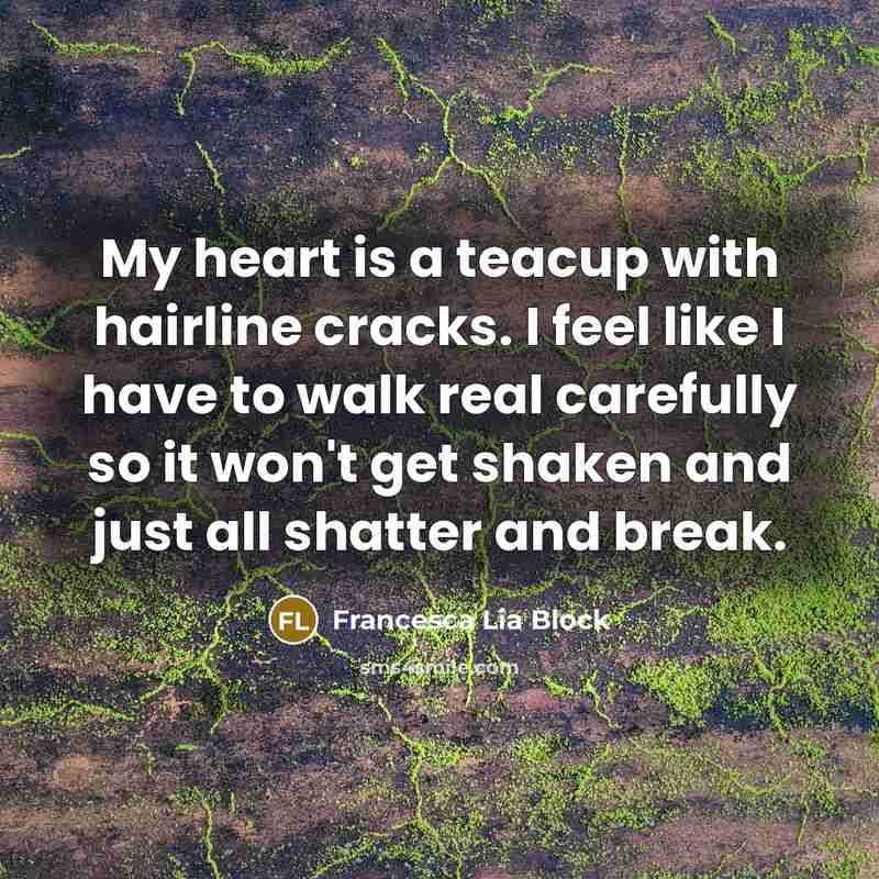 “My heart is a teacup with hairline cracks. I feel…” quote by Francesca Lia Block