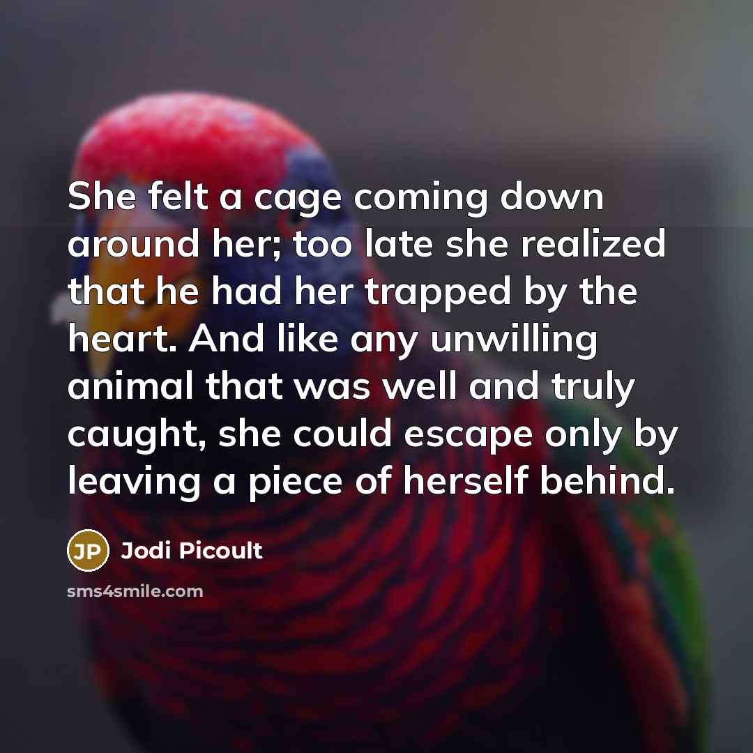 “She felt a cage coming down around her; too late…” quote by Jodi Picoult