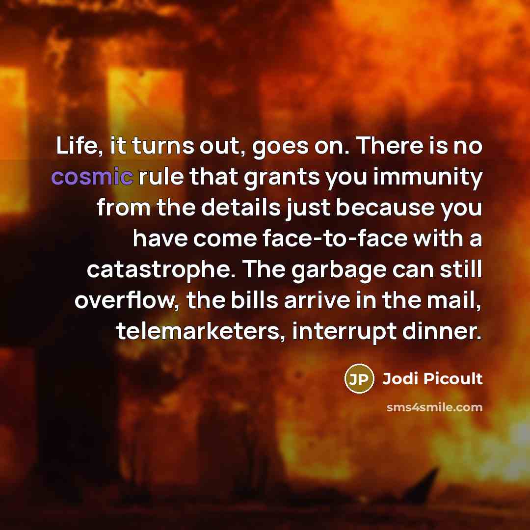 “Life, it turns out, goes on. There is no cosmic…” quote by Jodi Picoult
