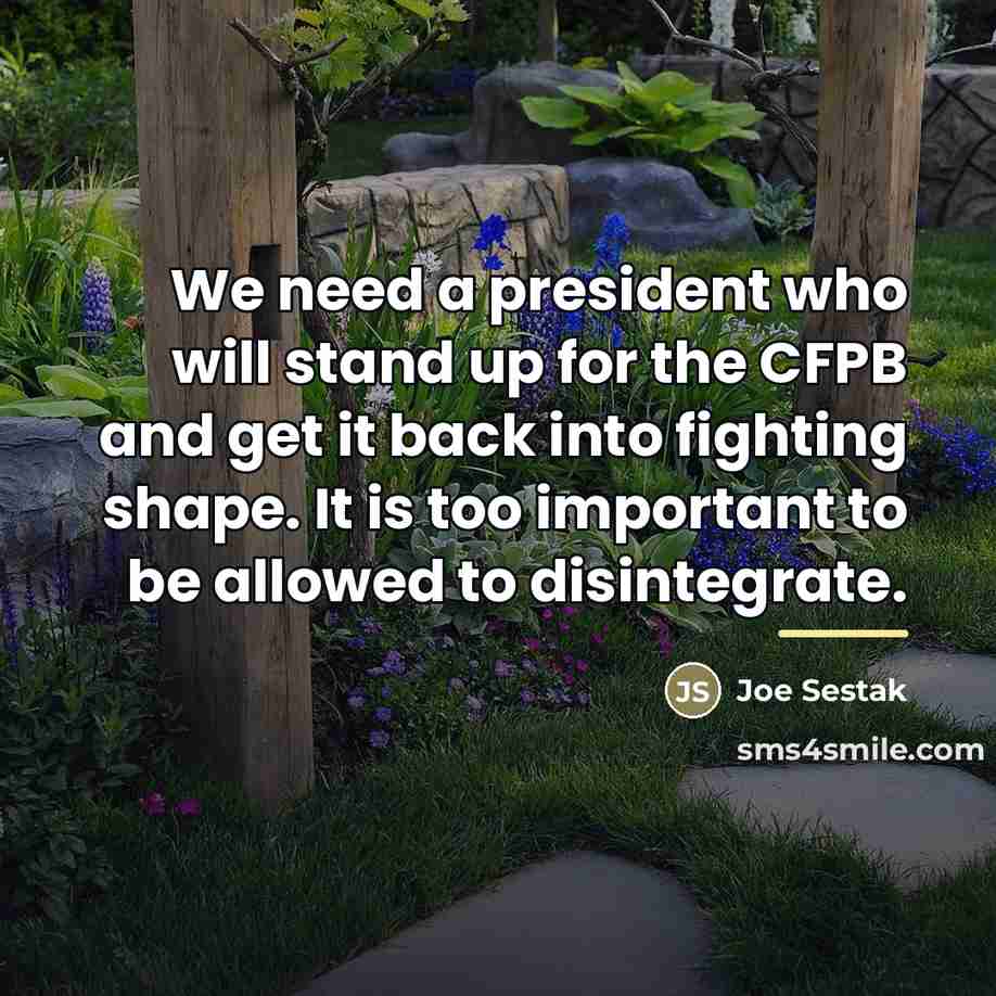 “We need a president who will stand up for the…” quote by Joe Sestak