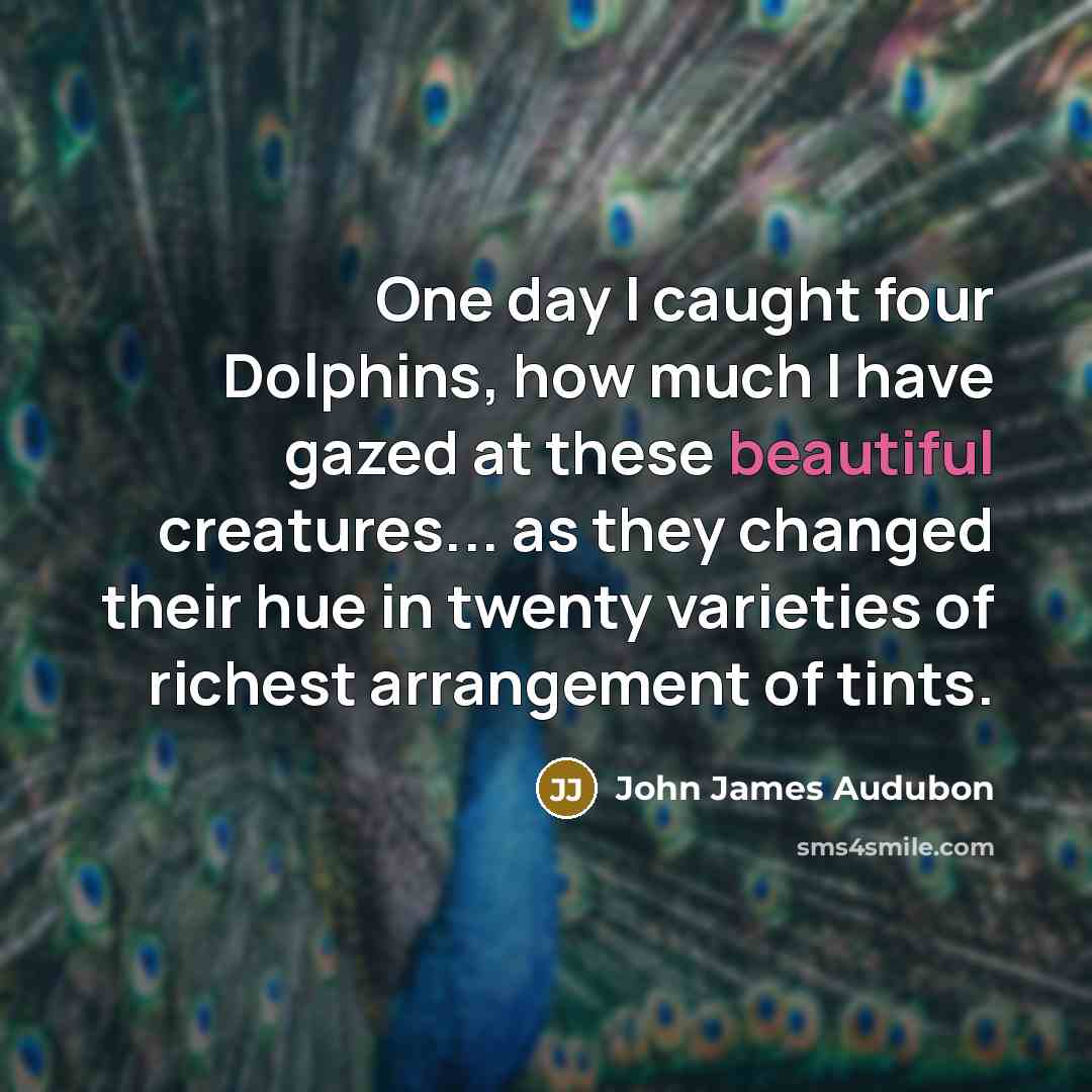 “One day I caught four Dolphins, how much I have…” quote by John James Audubon