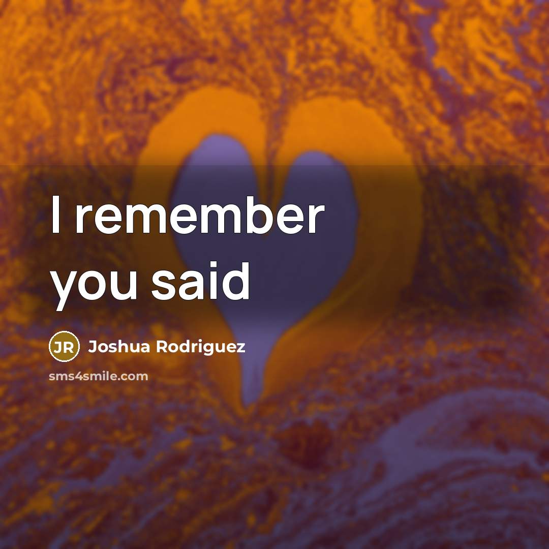 “I remember you said” quote by Joshua Rodriguez