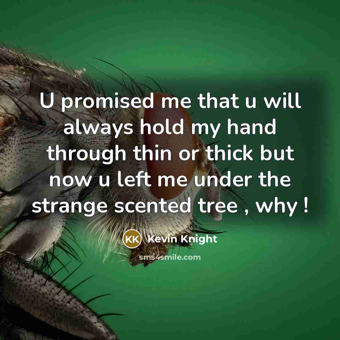 “U promised me that u will always hold my hand…” quote by Kevin Knight