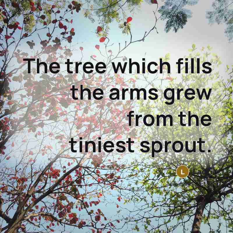 “The tree which fills the arms grew from the tiniest…” quote by Laozi