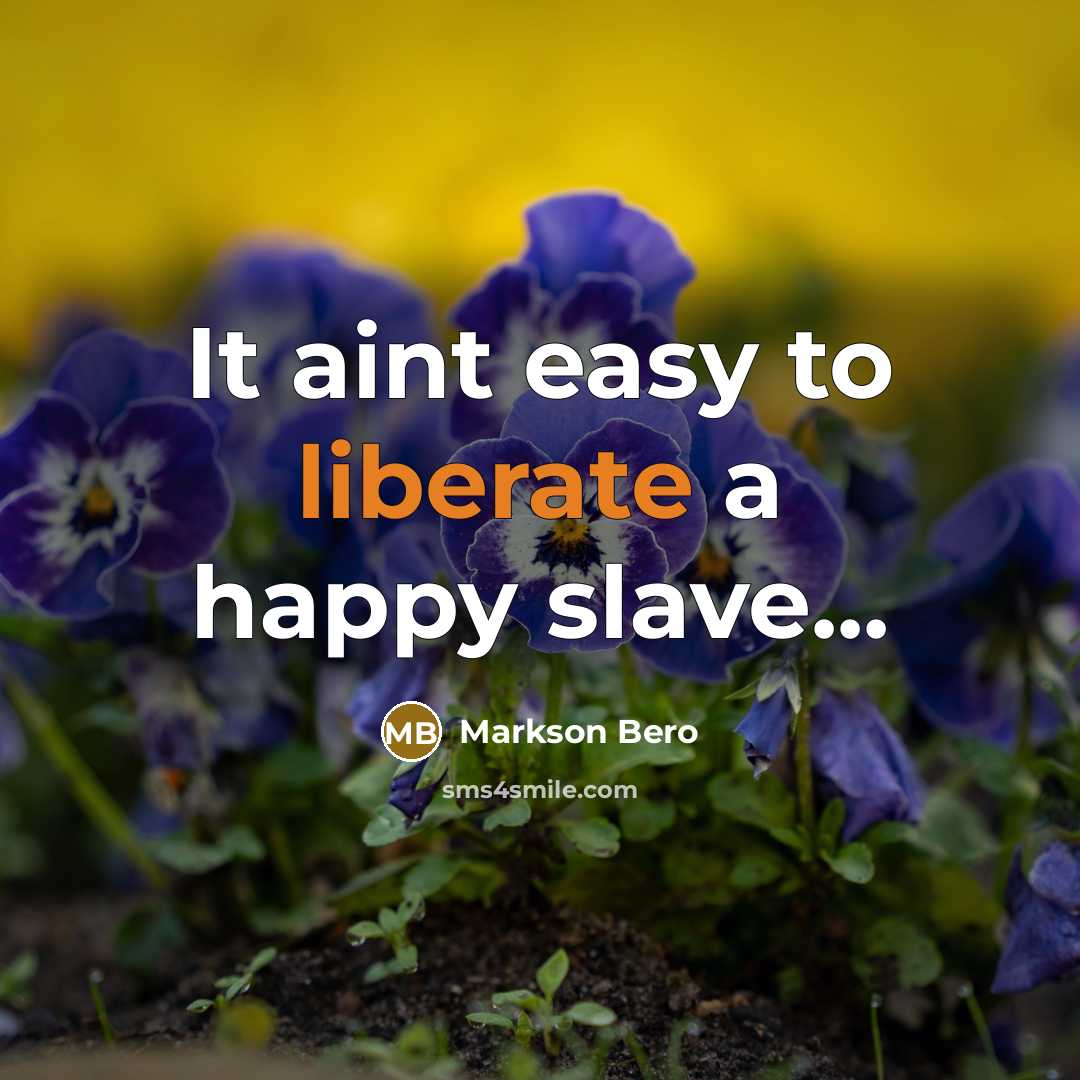 “It aint easy to liberate a happy slave...…” quote by Markson Bero