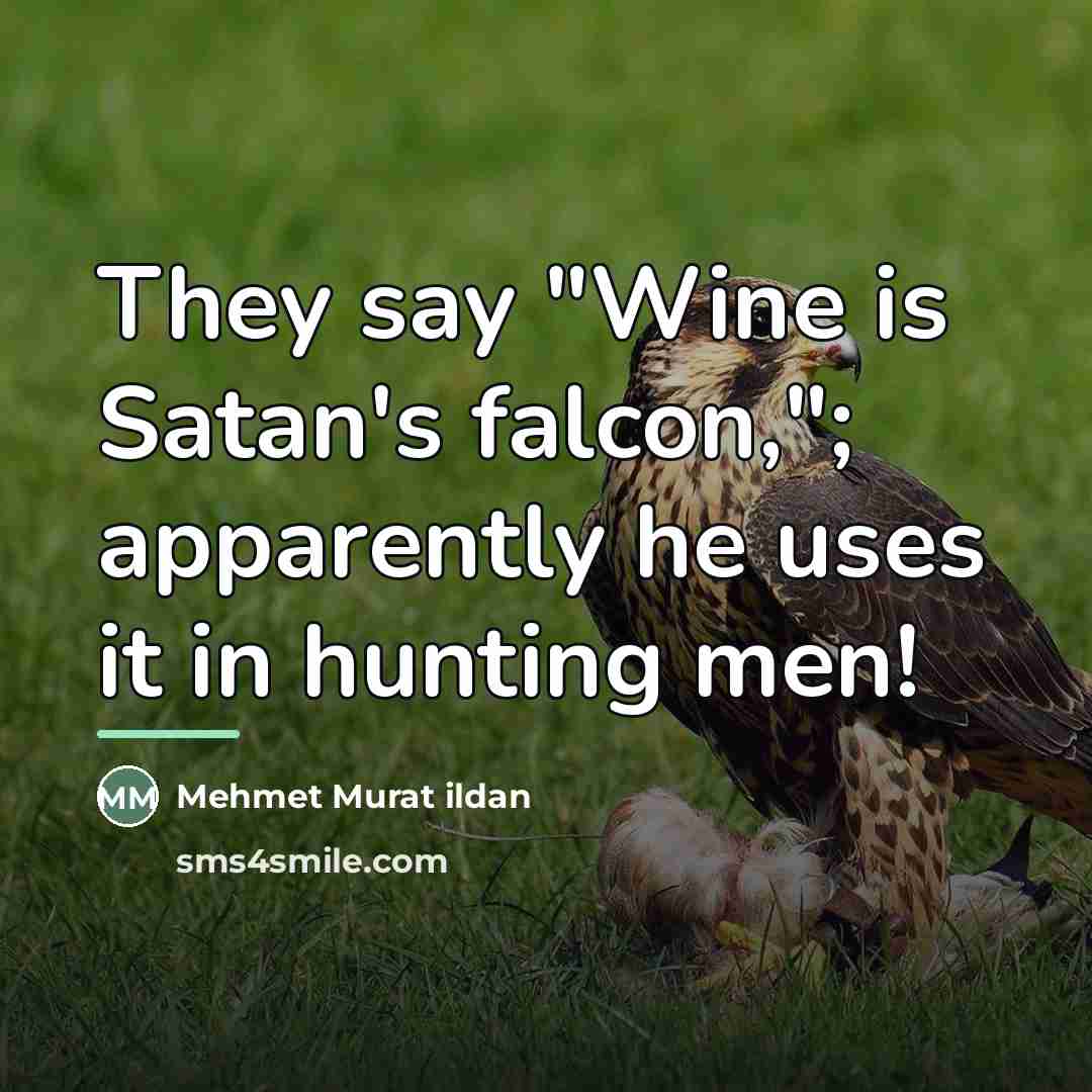 “They say "Wine is Satan's falcon,"; apparently he uses it…” quote by Mehmet Murat Ildan